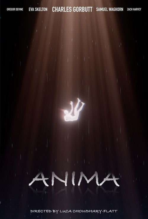 Cartell de ANIMA