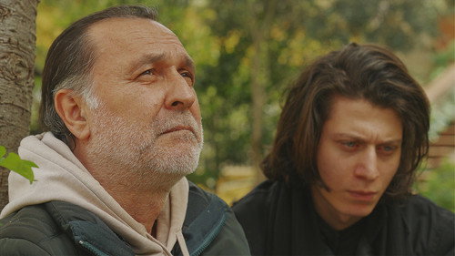 The Leaf Covered in Hoarfrost