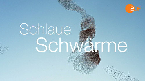 Schlaue Schwärme - Season 1 Backdrop Blur