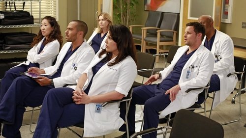 Grey’s Anatomy: 9×20