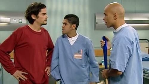 Poster della serie H