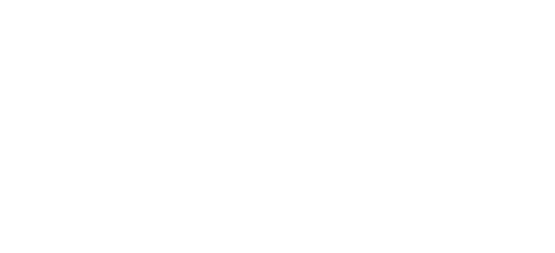 The Wedding Veil Expectations