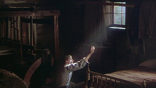 The Shepherd of the Hills