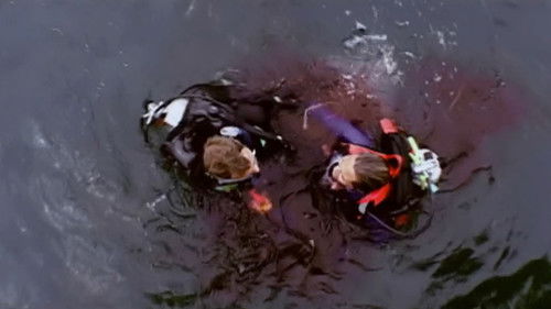 Mar Aberto Torrent BluRay (2003) Dual Áudio e Legendado