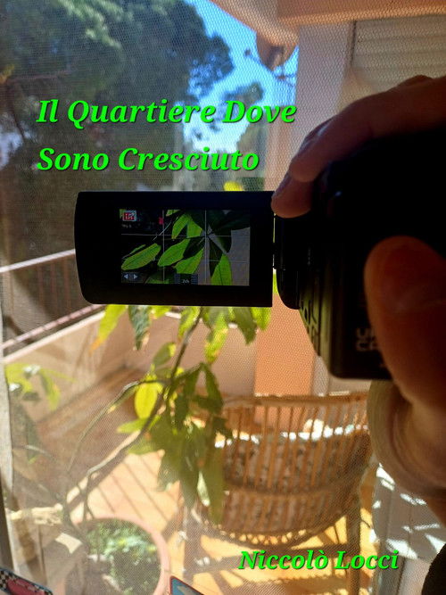 Il Quartiere Dove Sono Cresciuto