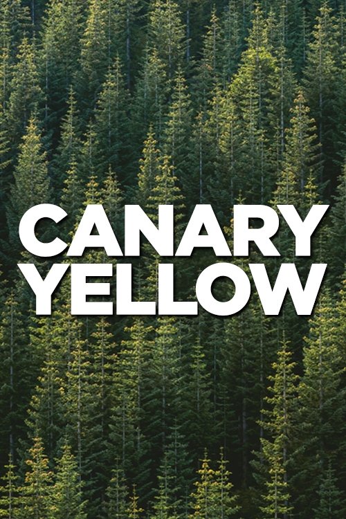 Canary Yellow movie poster player