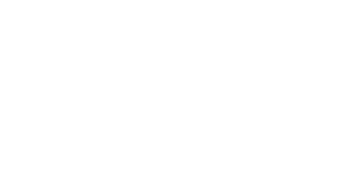 Donald's Nephews