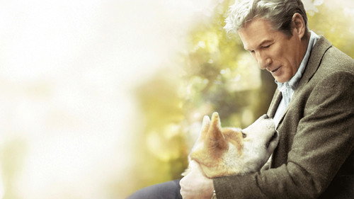 Image du film