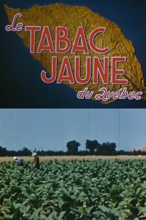 Poster Le tabac jaune du Québec 1951