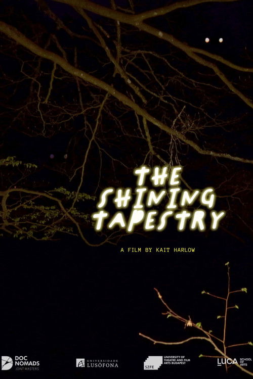 The Shining Tapestry poster