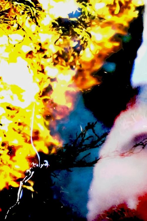 Through the Rift poster