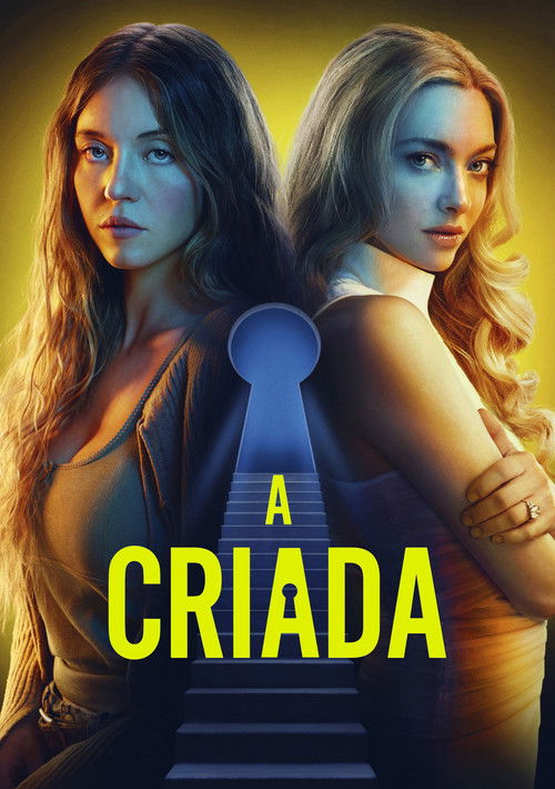 Poster of A Criada
