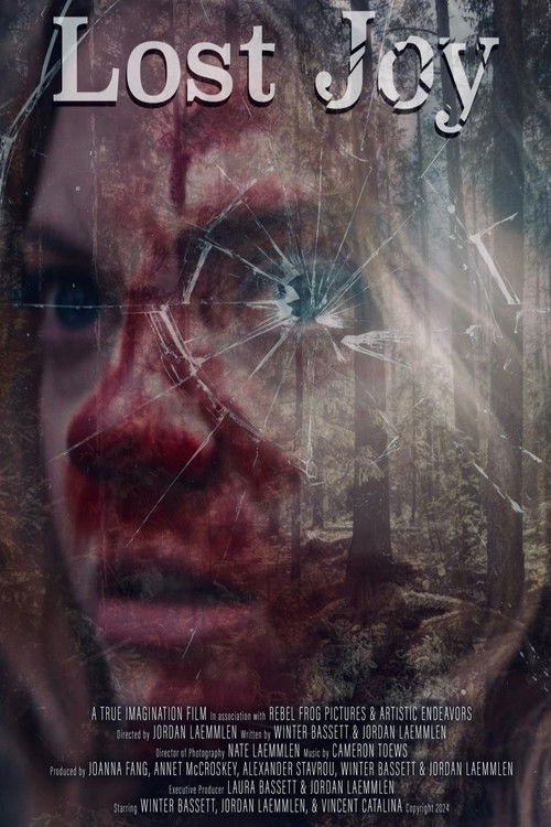 Lost Joy poster