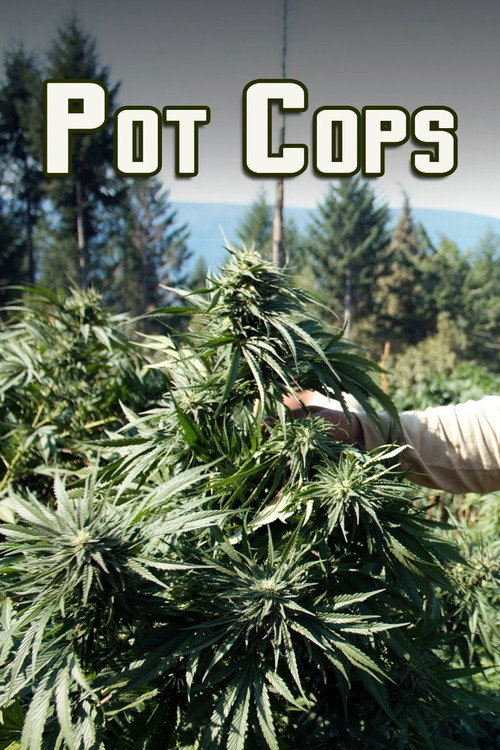 Pot Cops (2013) poster
