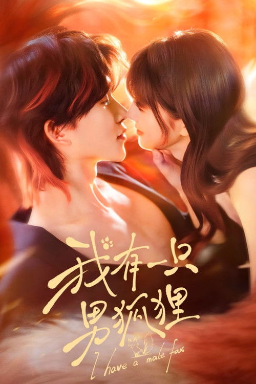 我有一只男狐狸