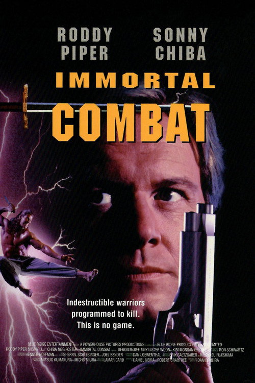 Immortal Combat poster