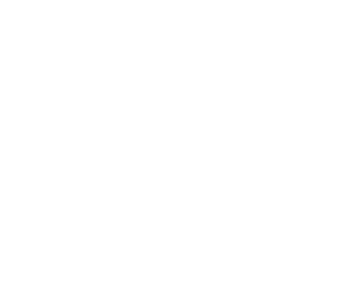 La 317ème Section