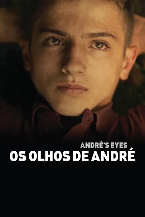 Poster Os olhos de André 2015