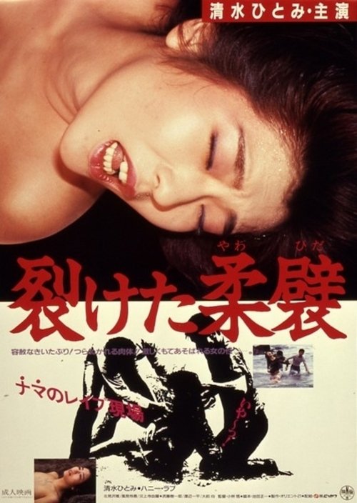 裂けた柔襞 movie poster player