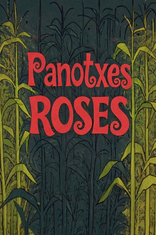 Cartell de Panotxes roses