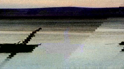 The Rocha Wetlands: The Secret of the Waters