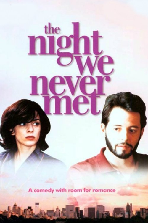 The Night We Never Met poster