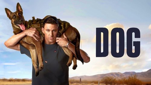 Dog (2022) Download Full HD ᐈ BemaTV