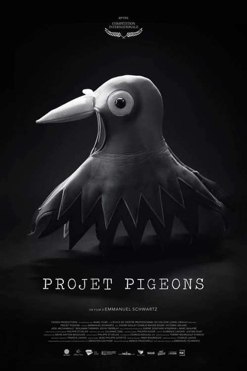 Projet Pigeons