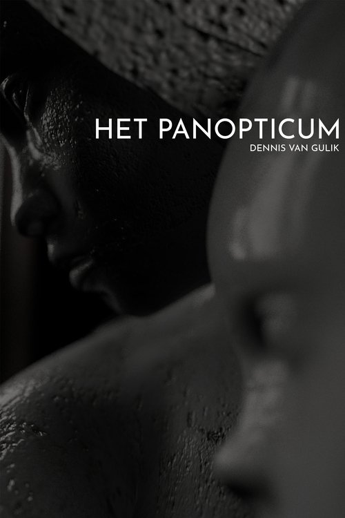 Het Panopticum movie poster player