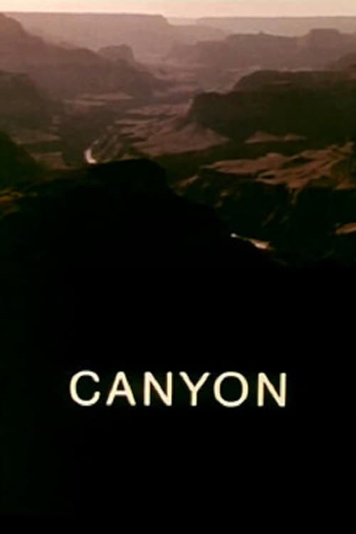 Canyon (1970) poster