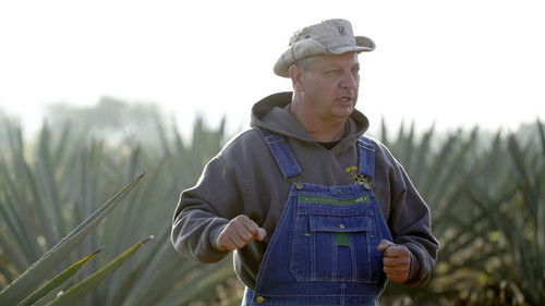 Poster della serie Moonshiners