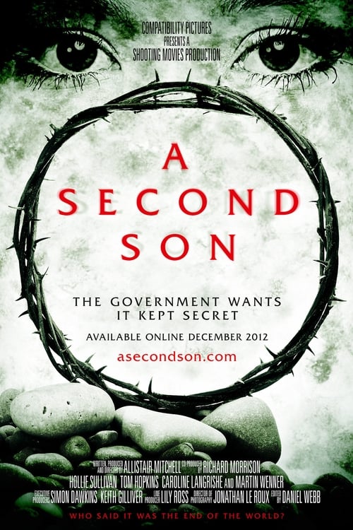 A Second Son poster