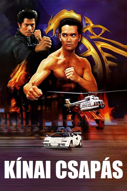 China Strike Force poster