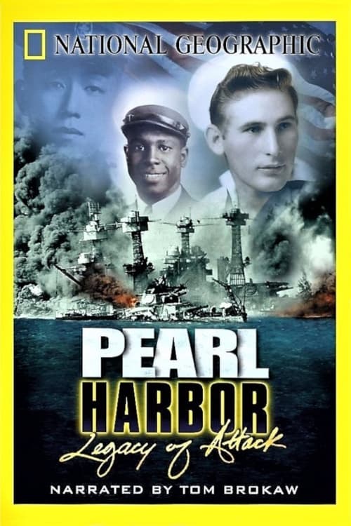 Pearl Harbor: Legacy of Attack (2001)