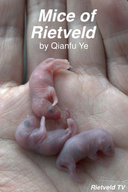 Mice of Rietveld film afişi