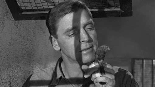Birdman of Alcatraz — still 15