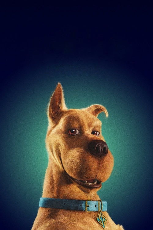 Pòster de Scooby-Doo Collection