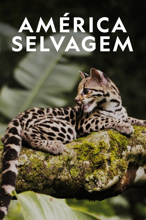 Wild Latam poster