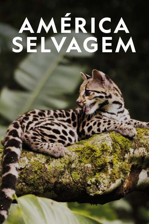 Image América Selvagem