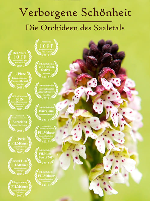 Hidden Beauty - The Orchids of the Saale Valley (2017)