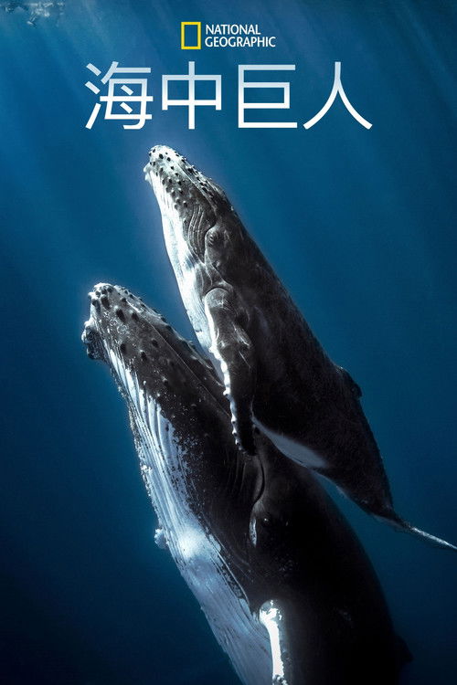 Giants of the Deep Blue poster