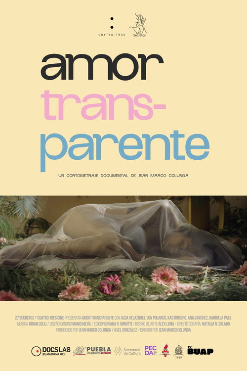 TransParent Love poster
