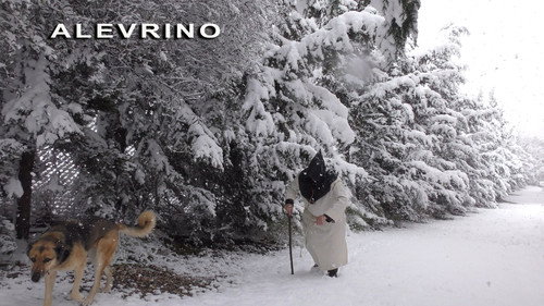 ALEVRINO “The Seed of Everything”