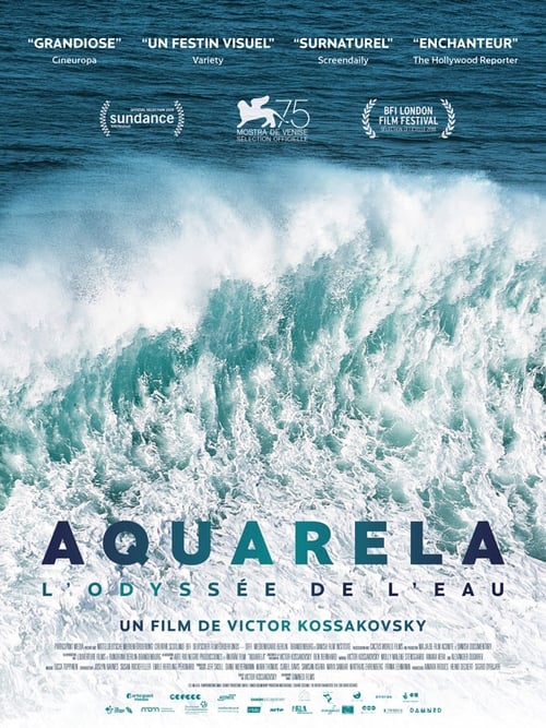 Aquarela poster