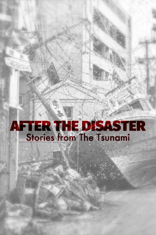 After The Disaster: Stories from The Tsunami 2020 After The Disaster: Stories from The Tsunami 2020