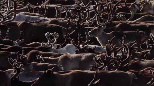 Oural, à la poursuite de l’automne