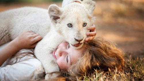 Mia and the White Lion What I was looking for