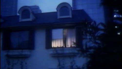 Momoco Wonderland: Strange House