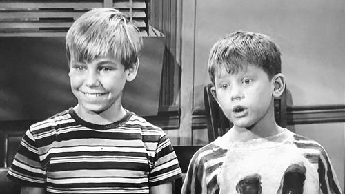 Escena del episodio 14 de la temporada 4 de la serie The Andy Griffith Show