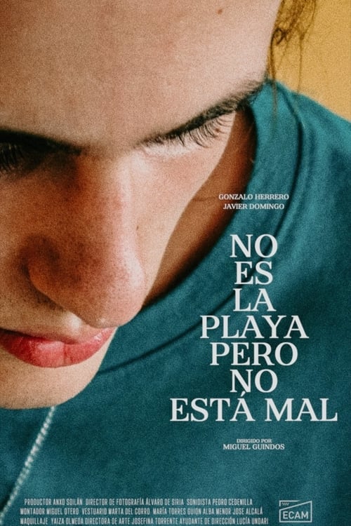 No es la playa pero no está mal (2020) poster